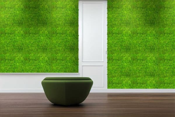 JANGAL - Modular Wall - Akustisk väggpanel - 520 x 520 x 40 mm - Ljusgrön mus - Naturlig mossa - Växtpanel