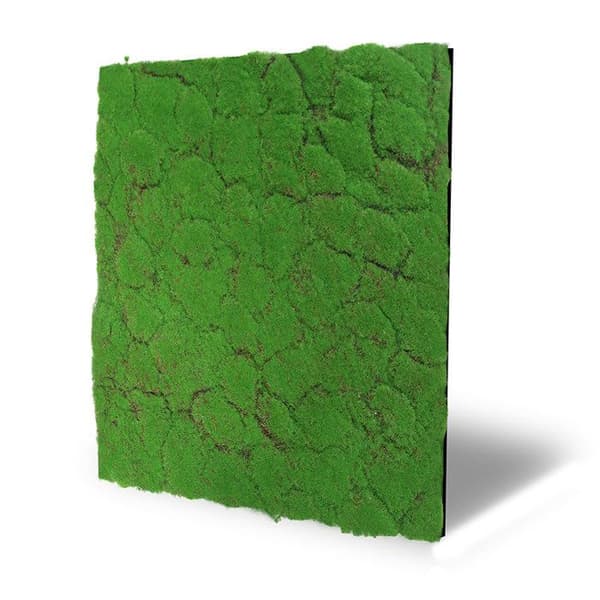 JANGAL - Modular Wall - Akustisk väggpanel - 520 x 520 x 30 mm - Skogsgrön designermossa - Växtpanel