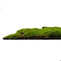 Miniatyrbild 3 av 6: JANGAL - Modular Wall - Akustisk väggpanel - 520 x 520 x 30 mm - Forest Green Moss Ball Design - Plant Panel