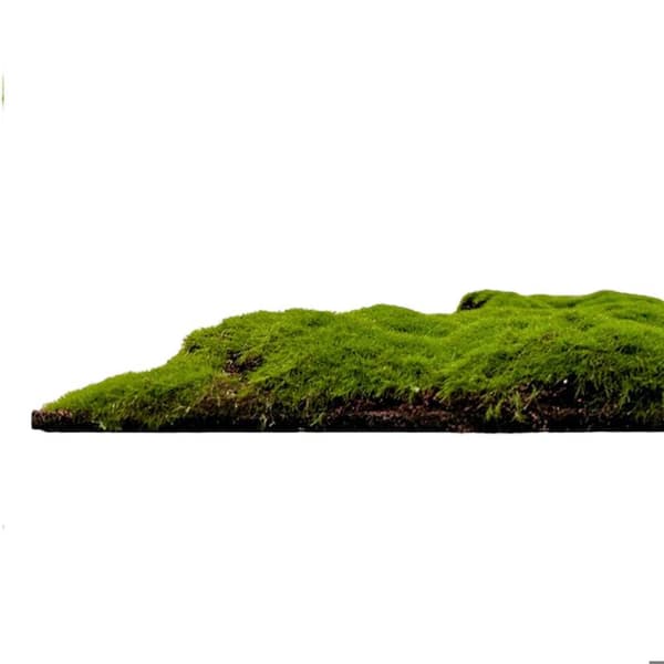 JANGAL - Modular Wall - Akustisk väggpanel - 520 x 520 x 30 mm - Forest Green Moss Ball Design - Plant Panel