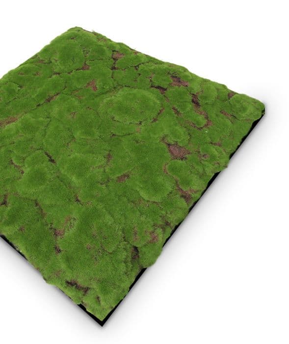 JANGAL - Modular Wall - Akustisk väggpanel - 520 x 520 x 30 mm - Forest Green Moss Ball Design - Plant Panel