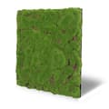 Miniatyrbild 2 av 6: JANGAL - Modular Wall - Akustisk väggpanel - 520 x 520 x 30 mm - Forest Green Moss Ball Design - Plant Panel