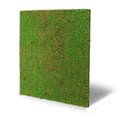 Miniatyrbild 4 av 6: JANGAL - Modular Wall - Akustisk väggpanel - 520 x 520 x 50 mm - Ljusgrön kokosnöt - Naturfiber - Växtpanel
