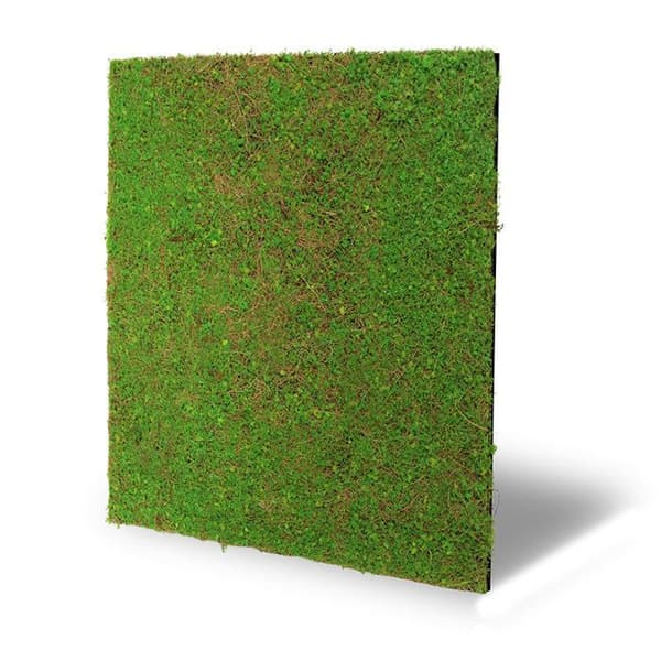 JANGAL - Modular Wall - Akustisk väggpanel - 520 x 520 x 50 mm - Ljusgrön kokosnöt - Naturfiber - Växtpanel