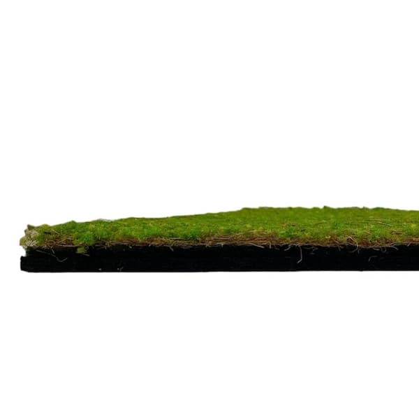 JANGAL - Modular Wall - Akustisk väggpanel - 520 x 520 x 50 mm - Ljusgrön kokosnöt - Naturfiber - Växtpanel