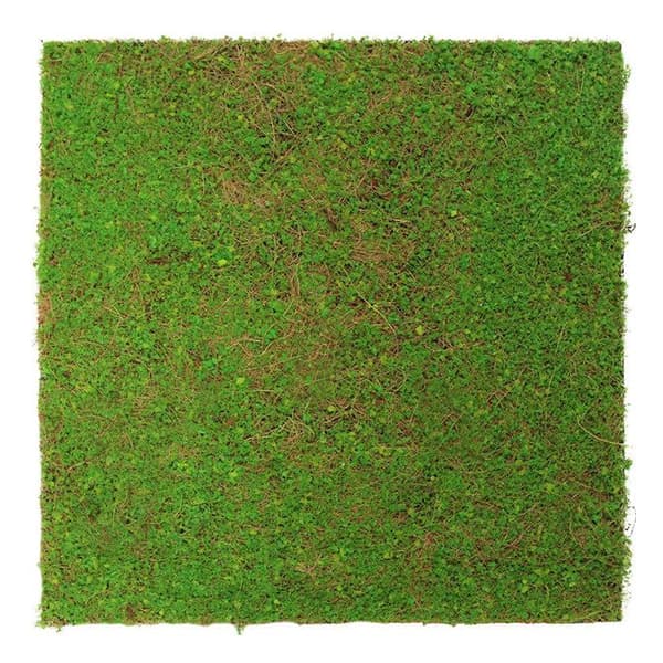 JANGAL - Modular Wall - Akustisk väggpanel - 520 x 520 x 50 mm - Ljusgrön kokosnöt - Naturfiber - Växtpanel