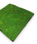 Miniatyrbild 4 av 6: JANGAL - Modular Wall - Akustisk väggpanel - 520 x 520 x 30 mm - Blekgrön fibermossa - Växtpanel