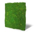 Miniatyrbild 2 av 6: JANGAL - Modular Wall - Akustisk väggpanel - 520 x 520 x 30 mm - Blekgrön fibermossa - Växtpanel