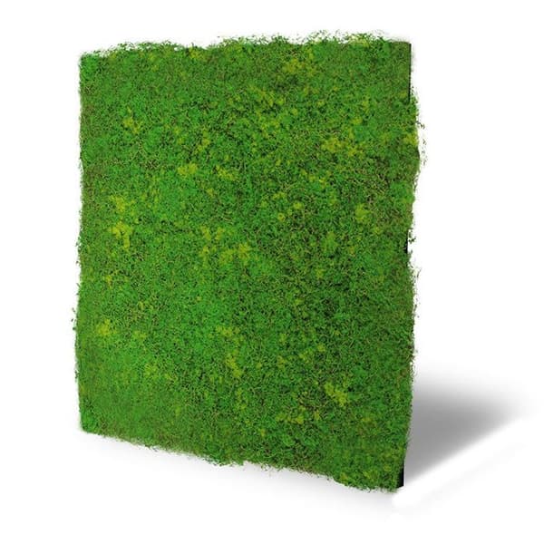 JANGAL - Modular Wall - Akustisk väggpanel - 520 x 520 x 30 mm - Blekgrön fibermossa - Växtpanel