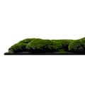 Miniatyrbild 3 av 6: JANGAL - Modular Wall - Akustisk väggpanel - 520 x 520 x 30 mm - Grön skogsmossa med stora kulor - Växtpanel