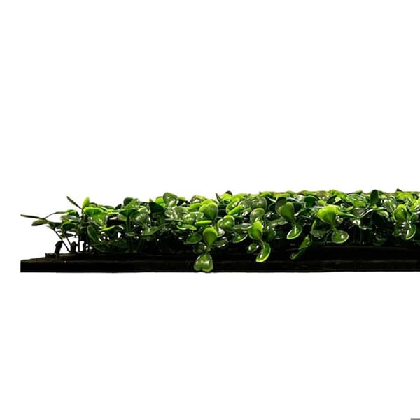 JANGAL - Modular Wall - Akustisk väggpanel - 520 x 520 x 50 mm - Mörkgrön Buit Design - Plant Panel