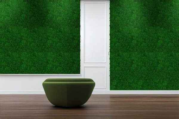 JANGAL - Modular Wall - Akustisk väggpanel - 520 x 520 x 40 mm - Naturlig grön mossa - Naturmossa - Växtpanel