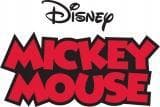 Seitsemän auton aurinkosuojaa Disney Minnie & Mickey