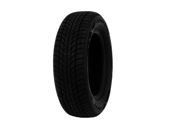 Goodride Winter Tyre Sw608 195/65R15