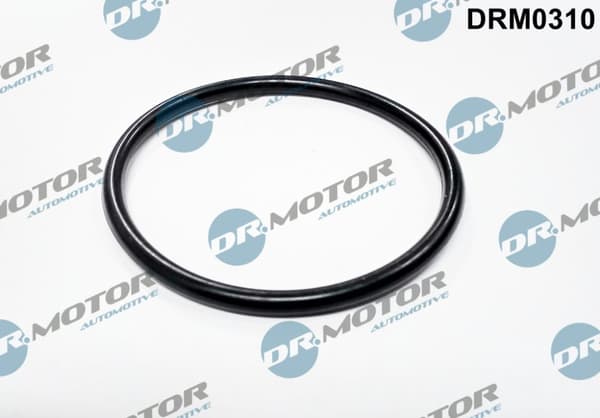 Dr. GASPACKNING FORD C-MAX 1.6TDCI 04-