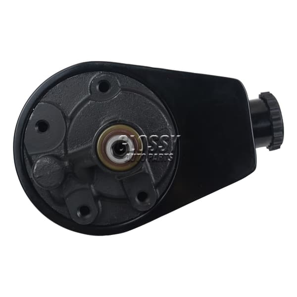AP03 Servostyringspumpe, Passer til 4.3L V6, 5.0L V8, Kompatibel med MerCruiser og Volvo Penta