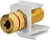 Rutenbeck KMK-LS sw rw - Snap-in-modul (Keystone) - banan - Pure White, RAL 9010 (17000608)