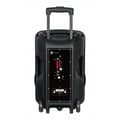 Pikkukuva 3 / 4: N-GEAR FLASH THE FLASH 1205/ BT repro/ 300W/ USB/ MICRO SD/ DO/ 2x MIC
