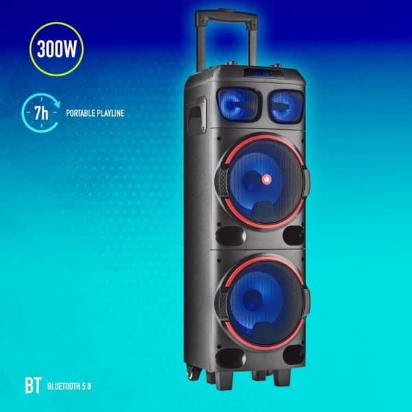 Bärbar högtalare - NGS - WILD DUB 1 - 300W - Bluetooth - True Wireless - Svart