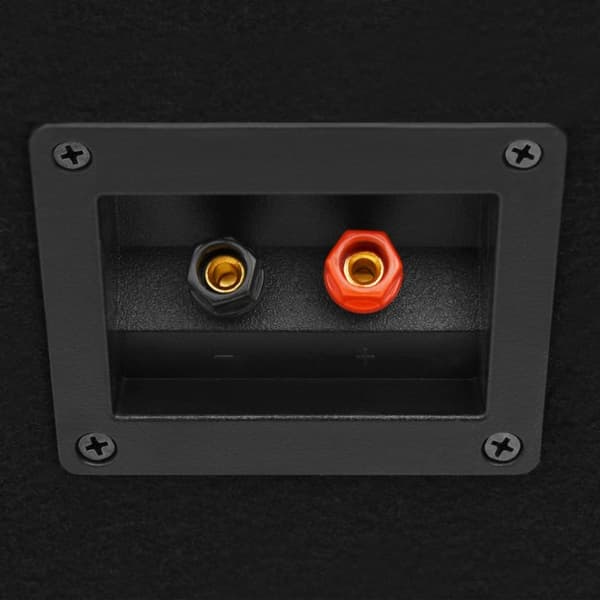 prof. passive hi-fi-scenehøjttalere 2 stk. 800 W sort