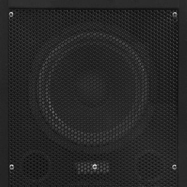 The Living Store professionelle hi-fi-højtalere 2 stk. 1000 W sort -  Højttalere