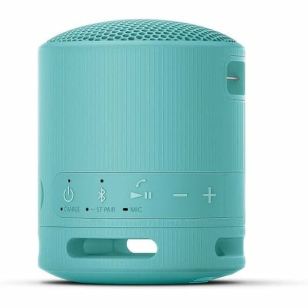 Bærbare Bluetooth-højttalere Sony SRSXB100L Blå