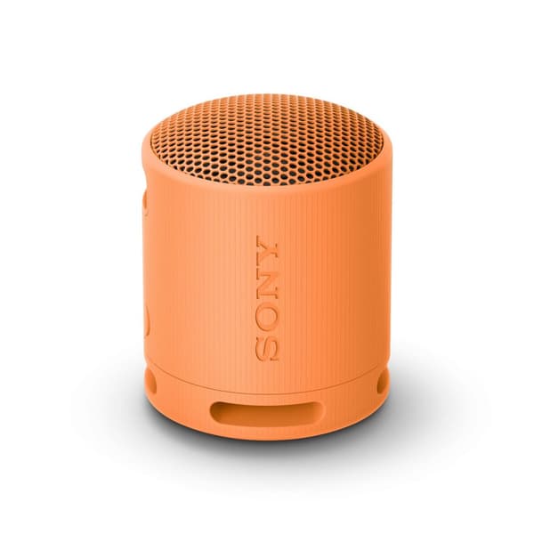 Bärbar Bluetooth Högtalare Sony SRSXB100D Orange Orange