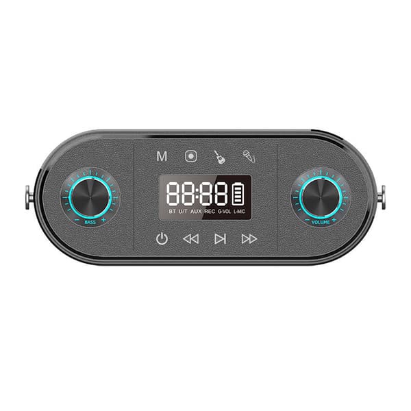 Trådlös Bluetooth-högtalare W-KING H10 S 80W + mikrofon (svart)