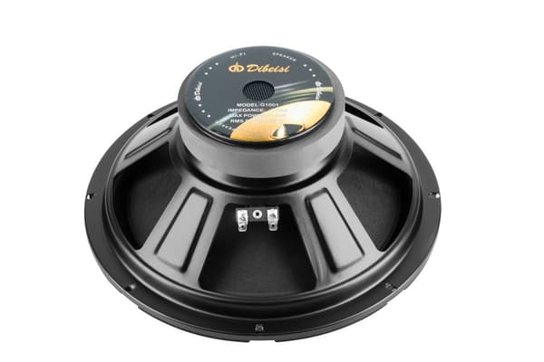 10" kaiutin DBS-G1001 8 ohmia
