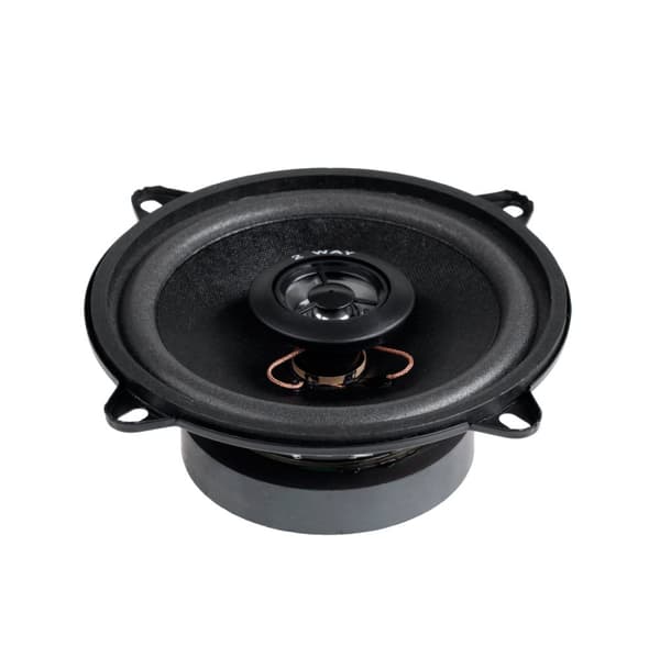 Bilhøjttaler 5"/2WAY/100W WS-1312TW
