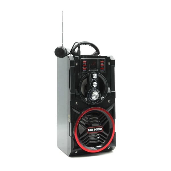 Bluetooth-högtalare med radio och karaokefunktion