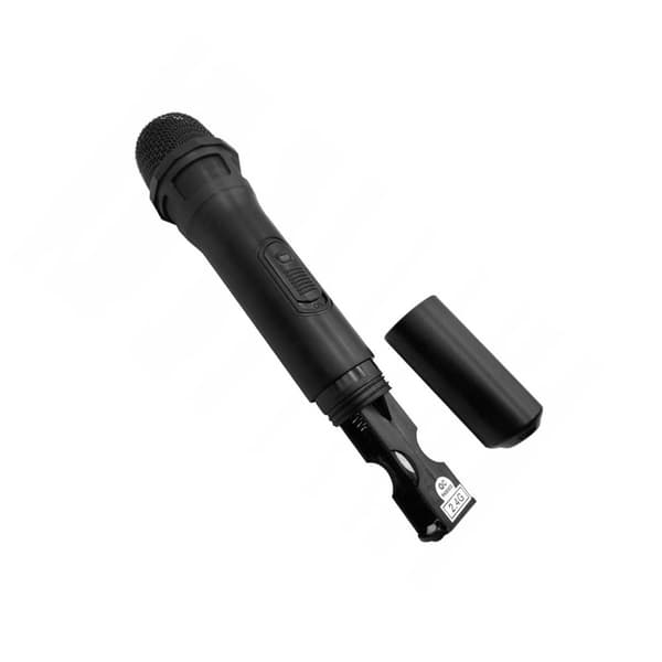 Bluetooth-högtalare med mikrofon, fjärrkontroll och karaokefunktion