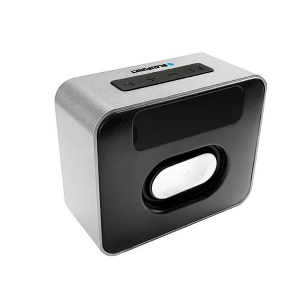 5W subwoofer högtalare - Blaupunkt - BLP3140-143 - Silvergrå