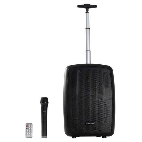 AMPLY-T Bärbar högtalare 100W BT FM USB-m2CROSD Basreflex INALMBRIC MICRON Bat. Vagn som bär 2000 mAh.
