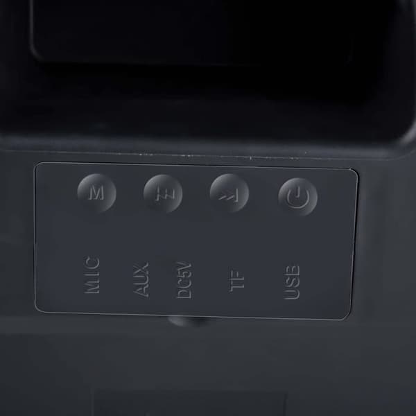20W TWS Bluetooth-högtalare