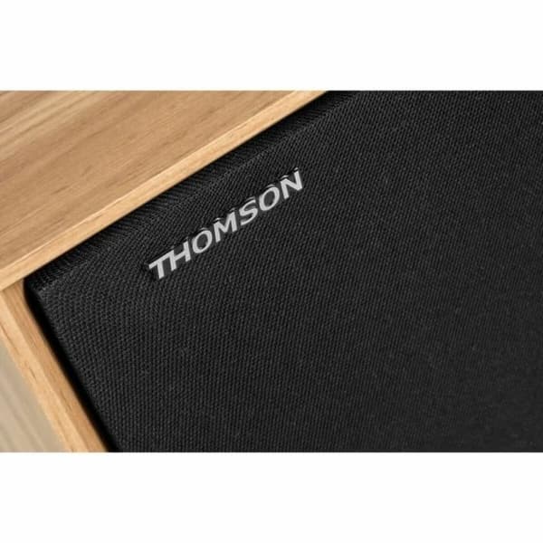 Bærbar Høyttaler Thomson WS502 Svart Beige 100 W