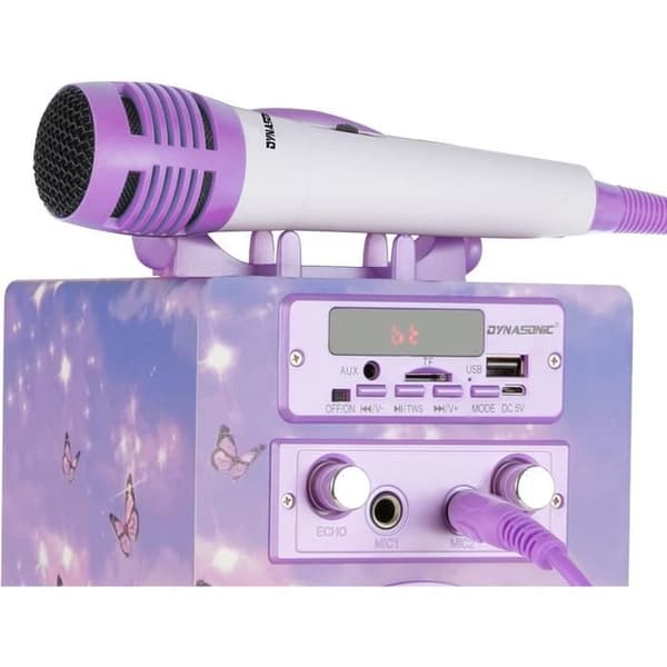 DYNASONIC Bluetooth-portabel högtalare med karaoke-läge och mikrofon
