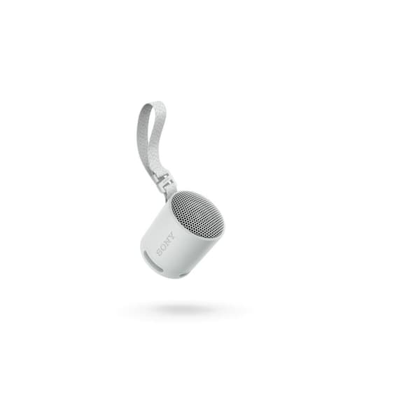 Bærbare Bluetooth-højttalere Sony SRSXB100H.CE7 Grå
