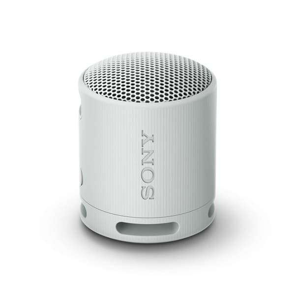 Bærbare Bluetooth-højttalere Sony SRSXB100H.CE7 Grå