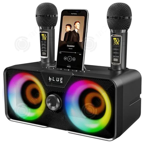 INN Trådlös mikrofon 2x10w högtalareffekt 32x18x19cm 7,4 v/2 000 mah batterispecifikationer karaokesystem