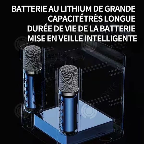 INN trådlös Bluetooth-högtalare med 2 trådlösa mikrofoner för sjungande bärbart PA-system för festaktiviteter