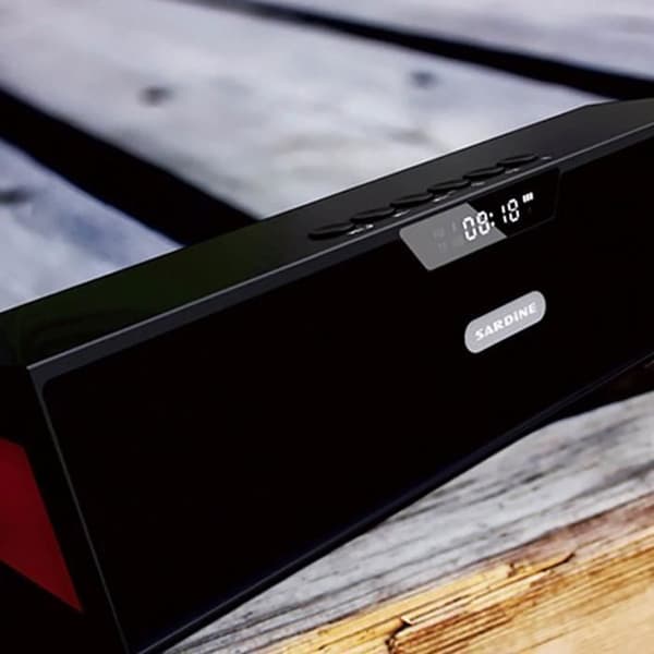 TD® Bärbar HiFi-högtalare Trådlös Bluetooth-högtalare High Power 10 W FM-radio USB-förstärkare + klocka