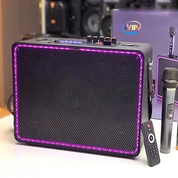 TD® Bluetooth-högtalare 8-tums bärbar utomhus trådlös bärbar ljuduppspelningsmikrofon subwoofer