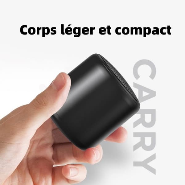 TD® Original Bluetooth 4.0 trådlösa högtalare Audio Player Support Handsfree telefonsamtal bluetooth högtalare med mikrofon
