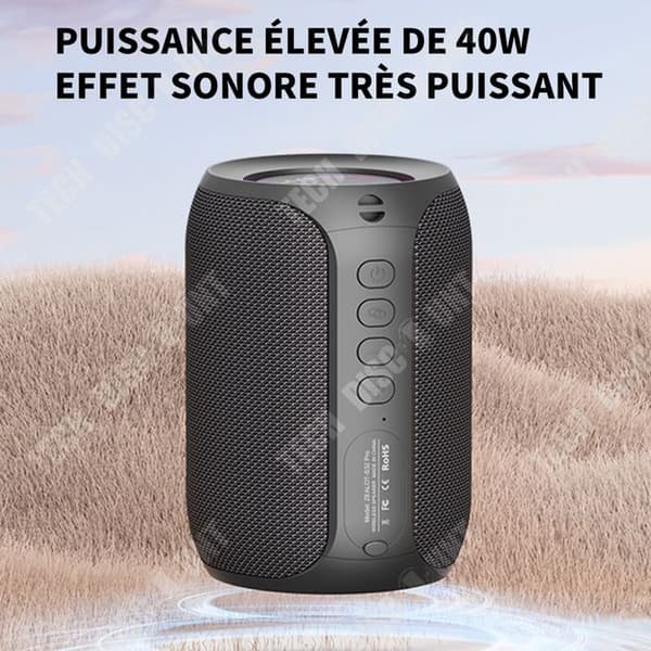 TD Bluetooth-högtalare Trådlös subwoofer Bordshögtalare Musikhögtalare för utomhuscamping hemma
