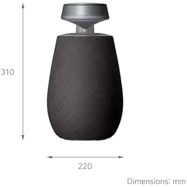 LG XBOOM 360 XO2 Bärbar Bluetooth-högtalare - 360° ljud - Svart