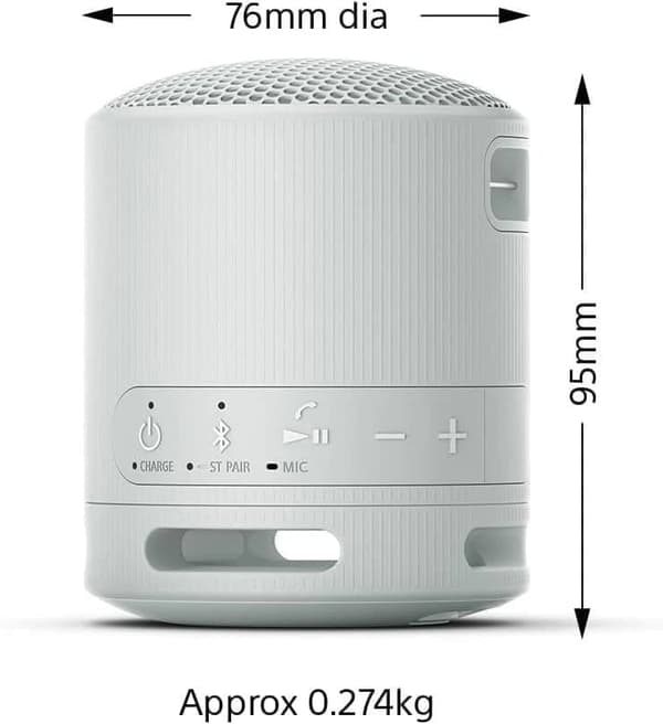 Sony SRS-XB100 - Trådlös Bluetooth, bärbar, lätt högtalare - Grå