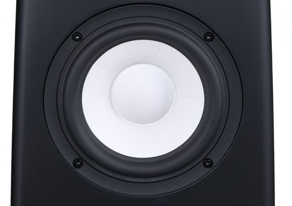 Acoustique Quality CANTO 3 - Audiofiilitason hyllykaiutin, kaksitiekaiutin, 120 W teho / SB ACOUSTICS / Pyökki
