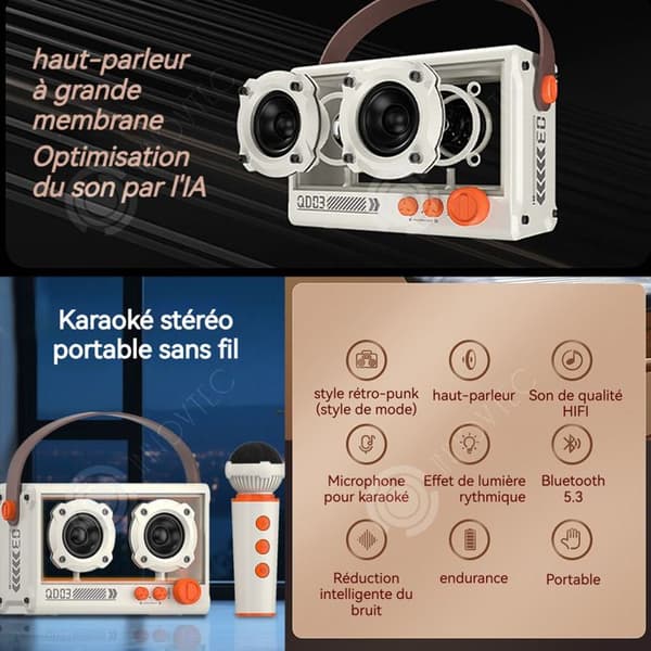 INN Trådlös karaoke maskin med 1 mikrofon, Bluetooth högtalare, bärbar karaoke högtalare för vuxna och barn