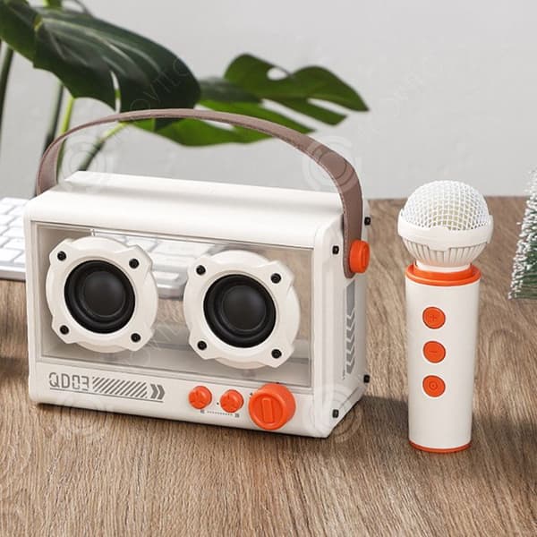 INN Trådlös karaoke maskin med 1 mikrofon, Bluetooth högtalare, bärbar karaoke högtalare för vuxna och barn